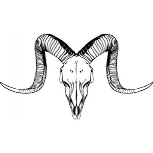 Rienda Libre Graphics - Decomural Ram Skull Animals Horns Ws-35705