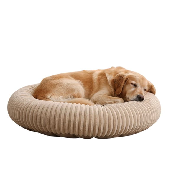 Cama Para Mascotas Cojín Acolchado Y Antideslizante 20cmx80cm