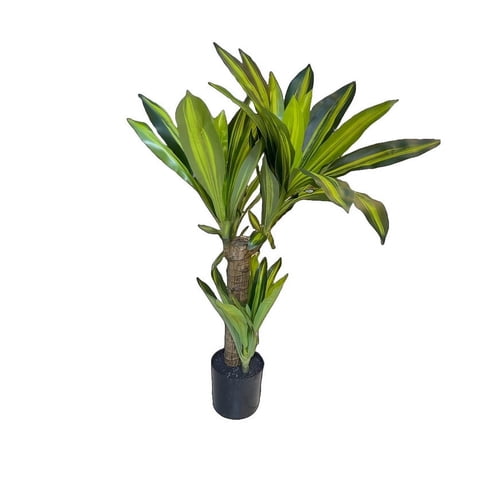 Genérico - Flor Planta Artificial Dracaena Arbol Decoracion Real Lau