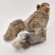 thumbnail image 4 of Peluche Hansa Sitting Squirrel gris para niños de 3 a 100 años, 4 of 8