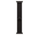 thumbnail image 1 of Correa Apple Watch Trail Loop 49 mm negra titanio T/M, 1 of 3