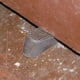 thumbnail image 4 of Tope De Puertas X2 Macrotel, 4 of 4