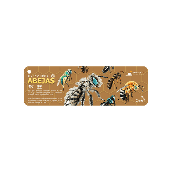 Pantonera de Abejas y flores