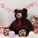 thumbnail image 2 of Peluche Teddy Bear HollyHome Giant de 150 cm con pata bordada, 2 of 5
