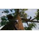thumbnail image 5 of Videojuego Perp Games Away: The Survival Series, 5 of 8