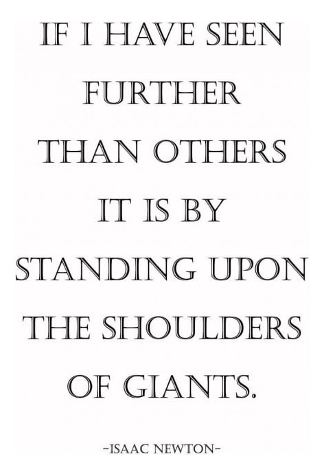 Rienda Libre Graphics - Decomural Shoulders Of Giants Isaac Newton Ws-44092