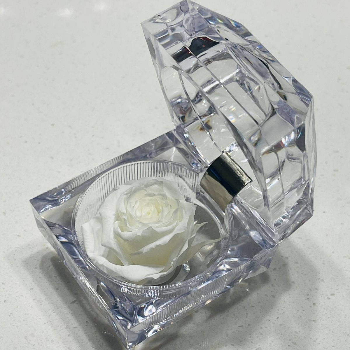 Allpa-Roseamor - Joyero Mini Con Rosa Preservada Natural Blanco