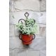 thumbnail image 5 of Macetero de Pared ORE LB-1717 Hierro Negro y Dorado 13 cm, 5 of 6