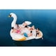 thumbnail image 5 of Isla Flotante Cisne, 5 of 6