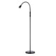 thumbnail image 1 of Lámpara de pie LED ajustable O'Bright Ray, negro mate, 1 of 7