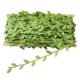 thumbnail image 5 of Guirnalda De Plantas Colgantes De Hojas De Vides De Seda Artificial De 20 M Para Banquete De Boda En Casa, 5 of 5