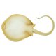 thumbnail image 3 of Juguete educativo Figurine Safari Ltd. Blue Spotted Ray, 6,5 cm, 3 of 4