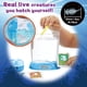 thumbnail image 5 of Kit Científico Sea Monkeys Ocean Zoo Huevos Comida Purificador de Agua, 5 of 9