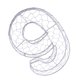 thumbnail image 5 of marco de la corona de alambre de hierro maceta suculenta plantador de metal titular de la planta art. 9, 5 of 5