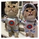 thumbnail image 3 of Disfraz de astronauta para mascotas perros y gatos de halloween, talla L, 3 of 3
