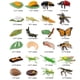 thumbnail image 2 of Set De 24 Figuras Del Ciclo De Vida De Insectos, 2 of 5
