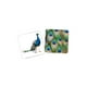 thumbnail image 2 of Fichas De Asociación Animal - Piel Dactic, 2 of 2
