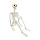 thumbnail image 3 of Esqueleto Articulado De Halloween, Esqueleto Humano Realista, Accesorio Para Halloween, 3 of 5