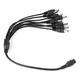 thumbnail image 3 of Splitter Pulpo Alimentación 1x8 Cctv Camaras, 3 of 3