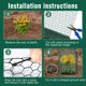 thumbnail image 3 of Protector de plantas Twintaogo de malla metálica de alambre de 10 m x 42 cm, 3 of 7