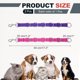 thumbnail image 2 of Uxcell Lazos de Aseo para Perros, Correa de Extensión de Nylon Ajustable para Mesa, 2 of 7