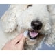 thumbnail image 2 of Toallitas Limpieza Dental Para Mascotas Maxiguard 100U, 2 of 3