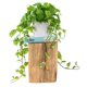 thumbnail image 1 of Planta Pothos de seda artificial ROVALA para decoración del hogar e interiores, 1 of 8