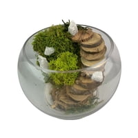 Eco Deco - Terrario Musgo Preservado Con Escaleras