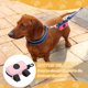 thumbnail image 5 of Uxcell Soporte para Bolsas de Excremento, Dispensador Reutilizable Portátil para Correa de Perro, Bolsa de Residuos de Mascotas, (1Pcs, Rosa), Para Exterior / Viaje / Paseo / Parque, 5 of 7