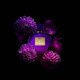 thumbnail image 5 of Perfume Antonio Banderas Her Secret Desire Eau de Toilette, 50 ml, 5 of 6