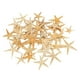 thumbnail image 2 of Conchas De Estrella De Mar Naturales, Exhibición De Boda, Decoración Artesanal Para Acuario, 2-3cm, 50 Uds., 2 of 2
