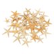 thumbnail image 4 of Conchas De Estrella De Mar Naturales, Exhibición De Boda, Decoración Artesanal Para Acuario, 2-3cm, 50 Uds., 4 of 5