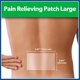 thumbnail image 2 of Parche Analgasico Salonpas Grande 6 Unidades Dolor Espalda, 2 of 3