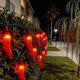 thumbnail image 2 of Guirnalda de Luces LUCKY SHINE Chile LED 5.5m 120V para Interior, 2 of 9