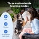 thumbnail image 4 of Collar para perro PetSafe 305 m, 15 niveles, impermeable, 4 of 9