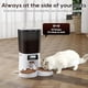 thumbnail image 2 of Comedero Automático Petrice 6L Doble Plato Programable Gato, 2 of 3