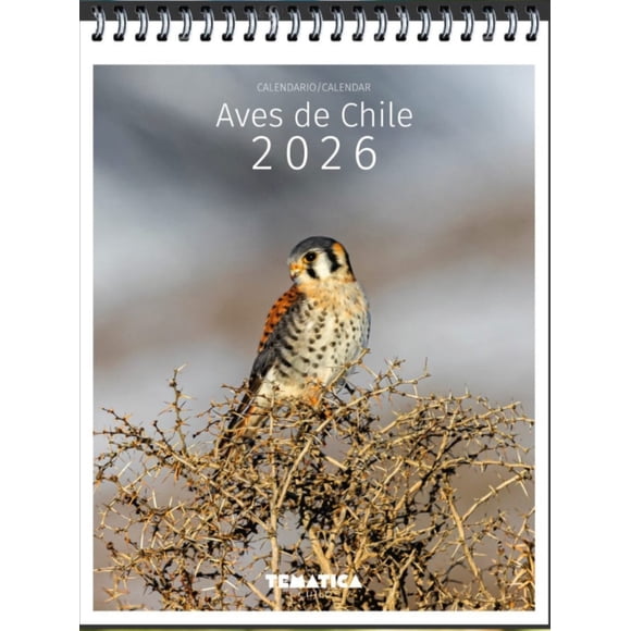 LIBRO Calendario Escritorio Aves De Chile 2026 - Tematica Chile