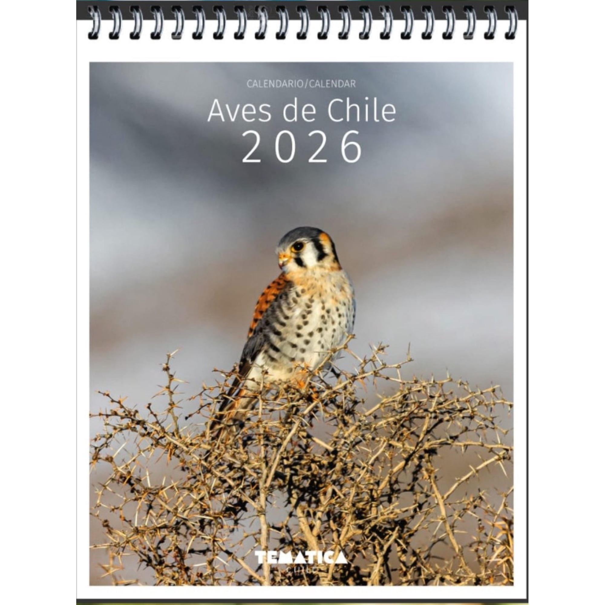 Libro Calendario Escritorio Aves De Chile 2026 - Tematica Chile