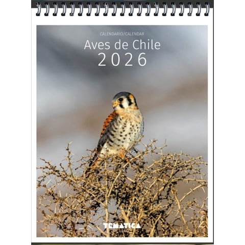 Libro Calendario Escritorio Aves De Chile 2026 - Tematica Chile