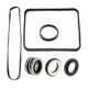 thumbnail image 4 of Kit De Sellado De Bomba Accesorio Caucho Práctico Duradero Para Bombas De Piscina SP1600, 4 of 5