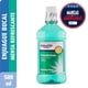 thumbnail image 1 of Enjuague Bucal Mouthrinse Spring Mint Botella, 500 ml, 1 of 1