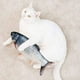 thumbnail image 2 of Pez De Peluche Con Movimiento Para Gatos Pez Plateado, 2 of 3