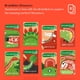 thumbnail image 2 of Cartas de audiolibro Yoto BrainBots: Dinosaurs for Yoto Player, 2 of 8