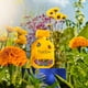 thumbnail image 2 of Perfume Frida Kahlo Yellow Eau de Parfum 100 ml para Mujer, 2 of 7