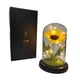 thumbnail image 3 of Rosa Eterna Girasol Cupula Vidrio Lampara Led Base Madera, 3 of 6