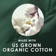 thumbnail image 5 of Tampons L. Organic Cotton Light + Regular, paquete de 42 x 2 (84), 5 of 9