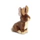 thumbnail image 3 of Peluche Aurora® Adorable Flopsie™ Jack A Lope 30 cm, 3 of 3