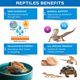 thumbnail image 3 of Baño de electrolitos Gargeer ReptiSoak 4 oz para reptiles, 3 of 3