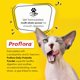 thumbnail image 5 of Probiotics Proflora para gatos, salud digestiva completa, 30 sobres, 5 of 9