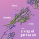thumbnail image 3 of Ambientador Febreze Plug In Twilight con aroma a lavanda, 25 ml, 3 of 9